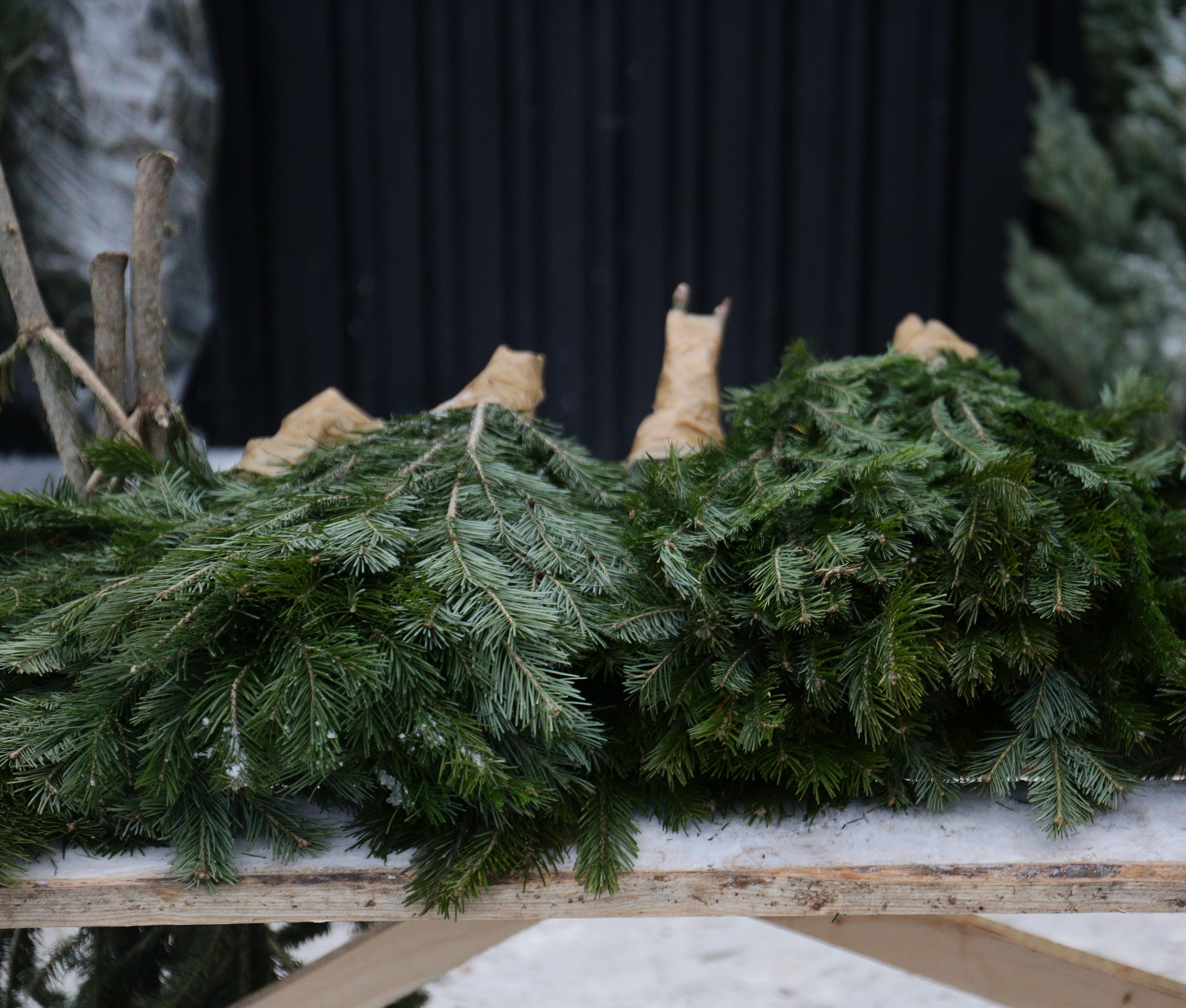 Мэр Кудрявцев рассказал, где откроют ёлочные базары в Новосибирске