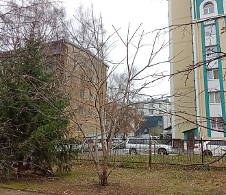 Взобравшаяся на дерево 8-летняя девочка всполошила бойцов ГБР