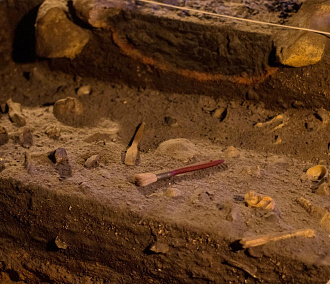 Загадочные курганы с «усами» изучают археологи под Новосибирском