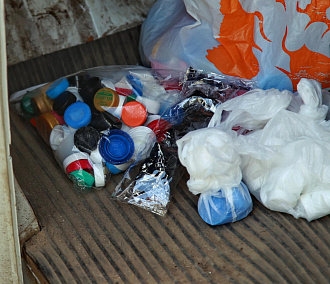 Куда сдать вторсырьё и вредные отходы в Новосибирске — горячий телефон