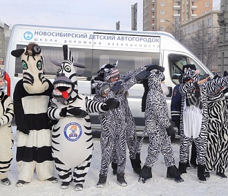 Зебры в городе: школьники надели необычные костюмы ради ПДД