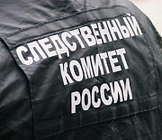 Уголовное дело застройщика из Новосибирска заинтересовало Бастрыкина