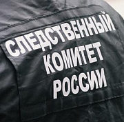 Уголовное дело застройщика из Новосибирска привлекло внимание Бастрыкина