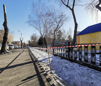 Мятликом и овсяницей засеяли газон у Центрального парка