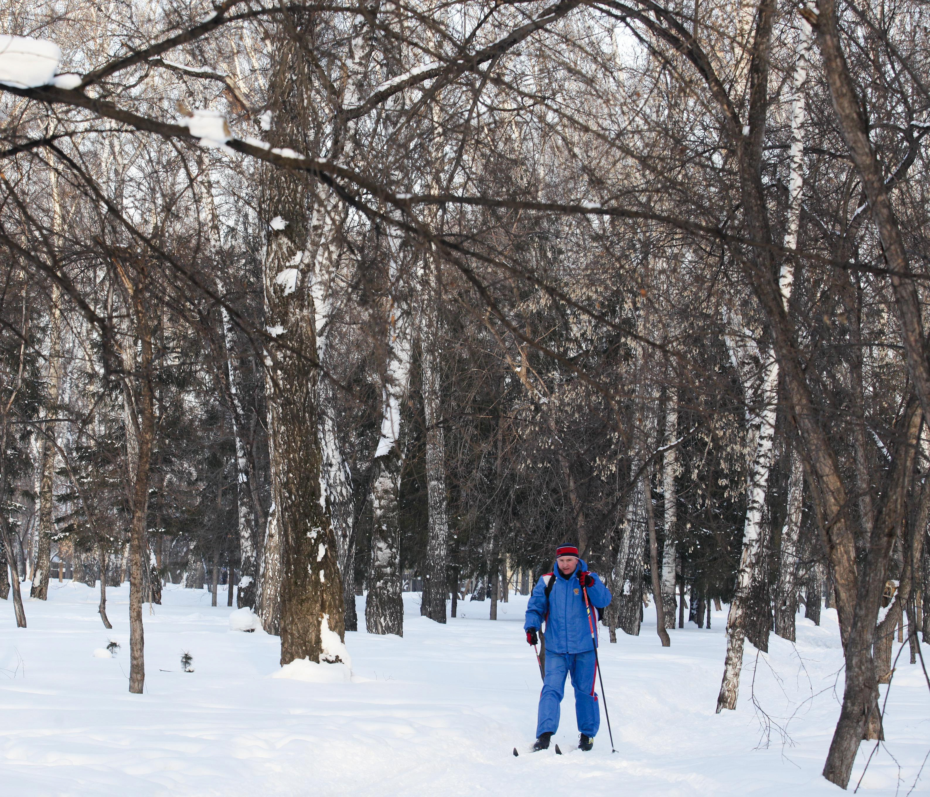 Лыжную трассу открыли в новосибирском парке «Бугринская роща»