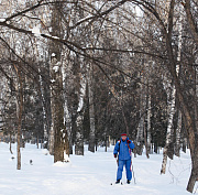 Лыжную трассу открыли в новосибирском парке «Бугринская роща»