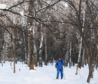 Лыжную трассу открыли в новосибирском парке «Бугринская роща»