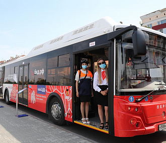 Новенькие автобусы и троллейбусы купит Новосибирск по «БКАД» в 2021 году