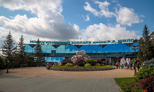 Новосибирский зоопарк перешёл на осенний график работы