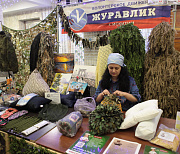 Стала известна полная программа «Осенней недели добра» в Новосибирске