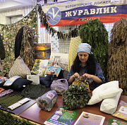 Стала известна полная программа «Осенней недели добра» в Новосибирске