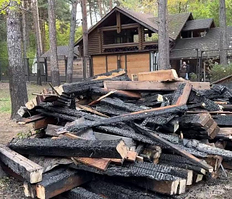 О состоянии спасённых из пожара зверей рассказали в зоопарке Новосибирска