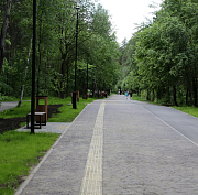 Нужны ли альпаки в Заельцовском парке — опрос новосибирцев