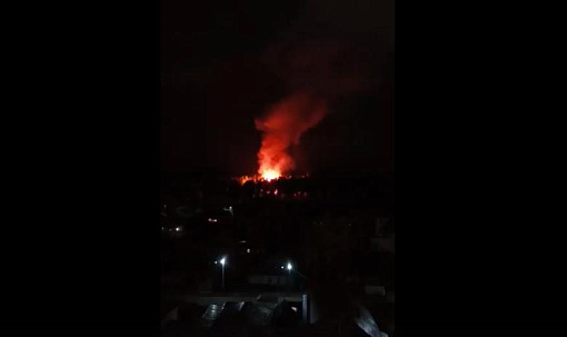Верблюда, дикобразов и оленей спасли из пожара в Новосибирском зоопарке