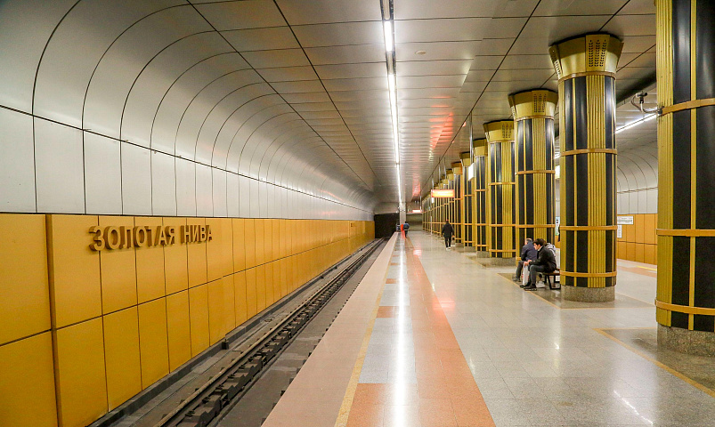 Чем удивляют три самые «зелёные» станции метро в Новосибирске