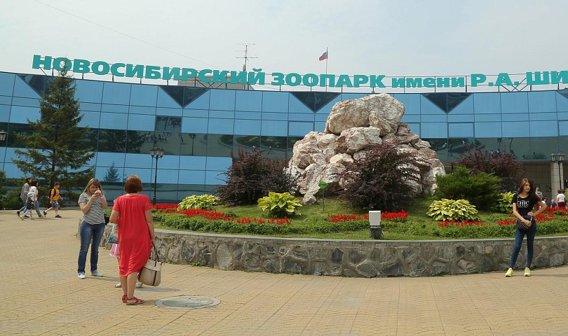 Международную ночь летучих мышей отметит Новосибирский зоопарк 31 августа