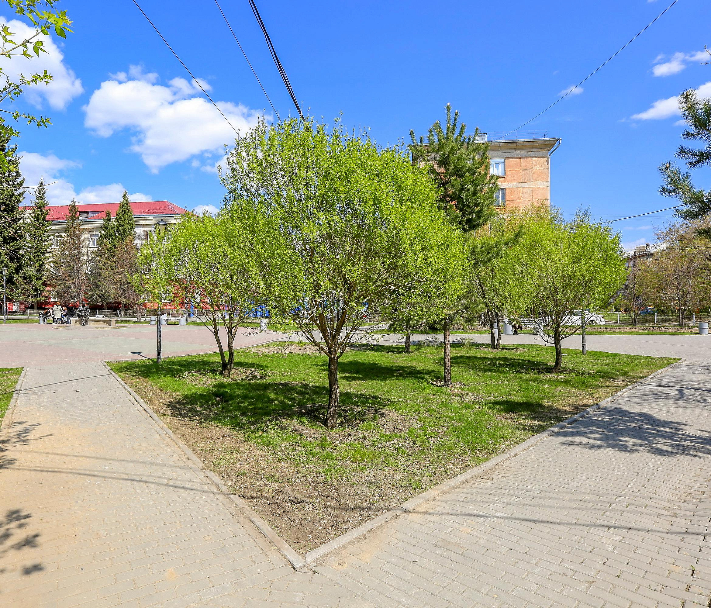 Какие парки и скверы благоустроят в Новосибирске в 2023 году — обзор