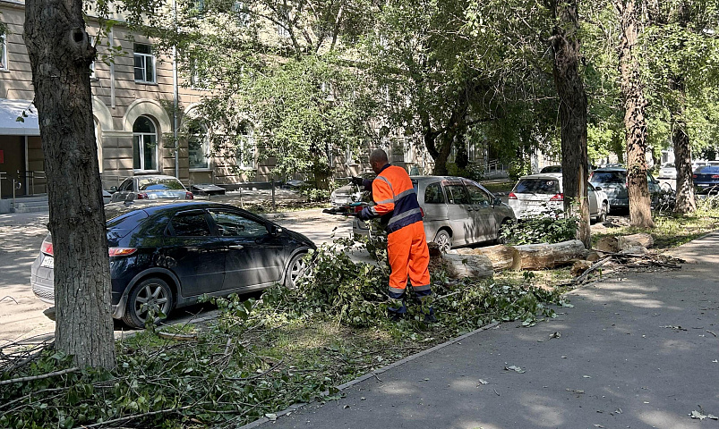 Поваленные деревья убирают в Новосибирске после урагана