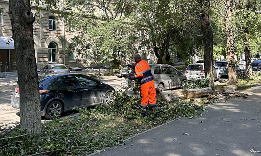 Поваленные деревья убирают в Новосибирске после урагана
