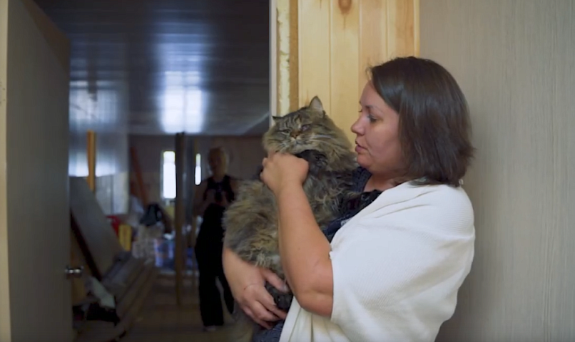 В сети вышел фильм о тех, кто спасает бездомных животных в Новосибирске