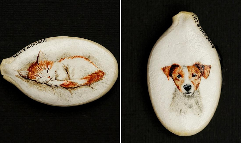 Новосибирец сделал рисунки акварелью на тыквенных семечках: фото