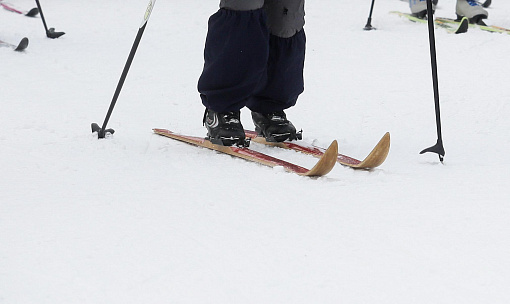 Ретрогонку на деревянных лыжах устроят в Заельцовском бору