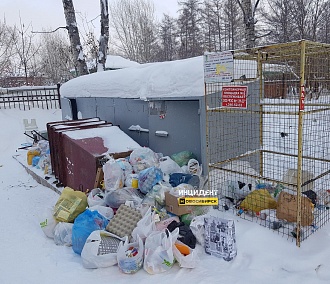 Областные власти прокомментировали вывоз мусора в Новосибирске