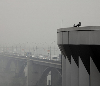Трудно дышать: загрязнение воздуха в Новосибирске стало критическим