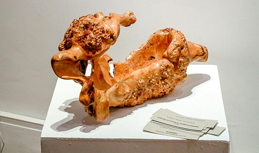 Красота леса: волшебные изделия из дерева выставили в ЦК19