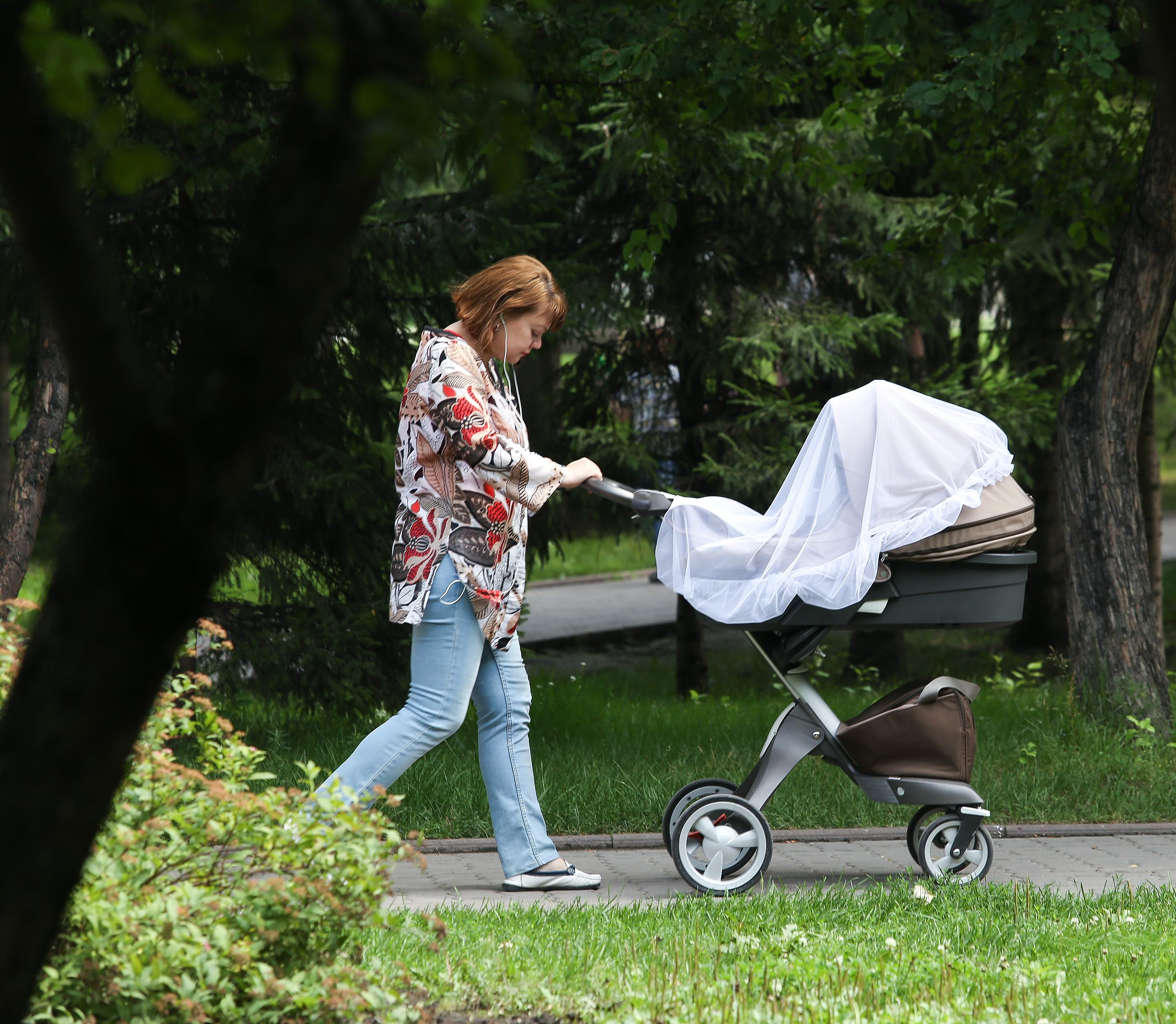 Полмиллиарда перечислили родителям младенцев в Новосибирской области