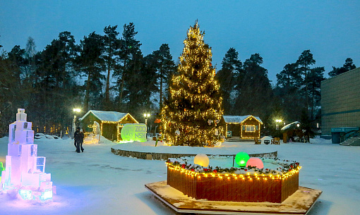 Конкурс ёлочных игрушек объявил Новосибирский зоопарк