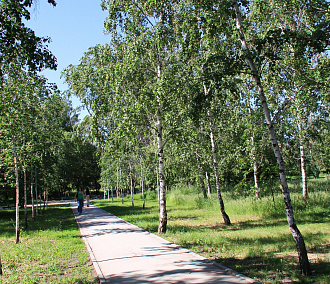 В Новосибирске разобьют парк в честь главы племзавода «Ирмень»