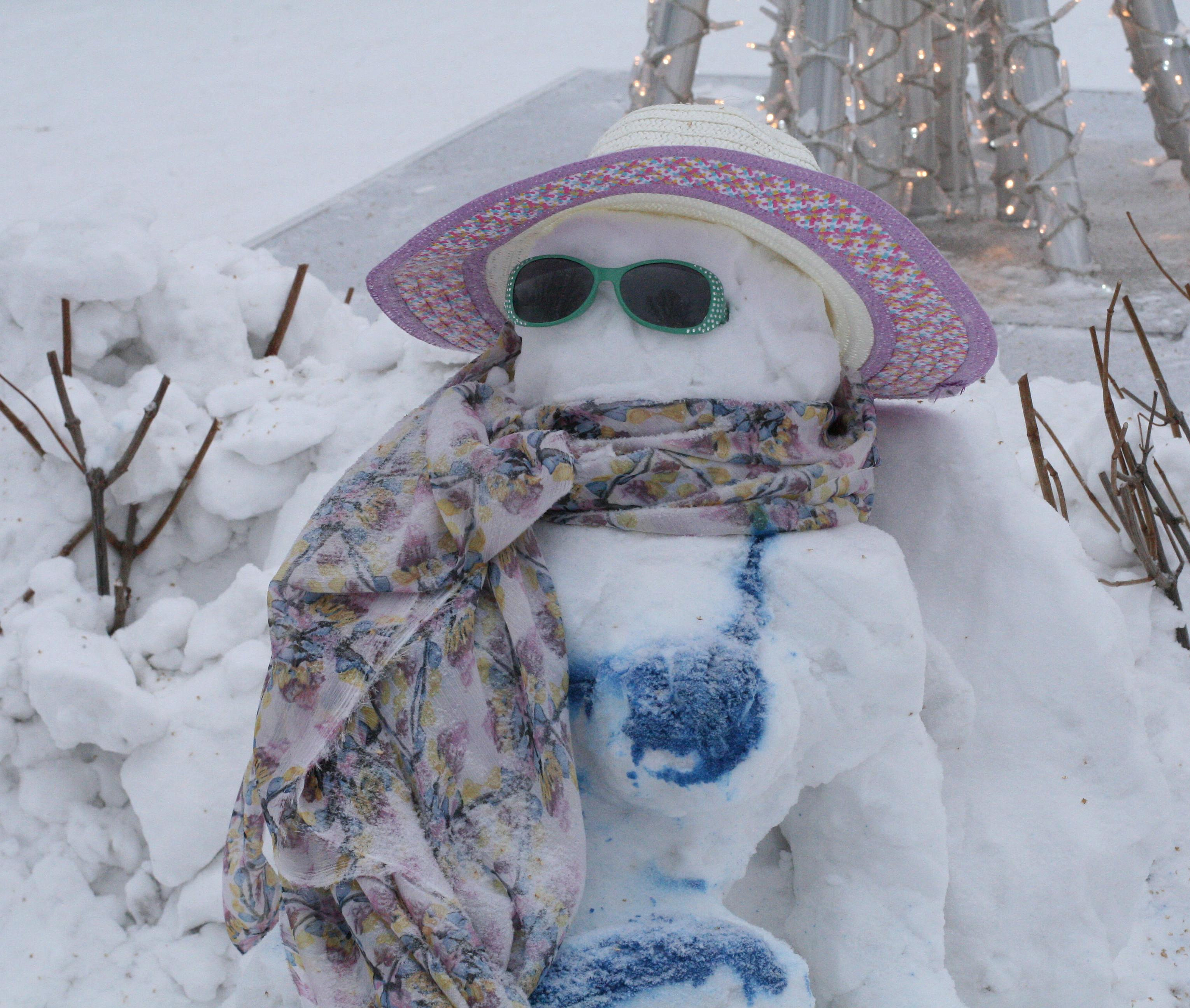 Жители Новосибирска слепили рекордное число снежных баб