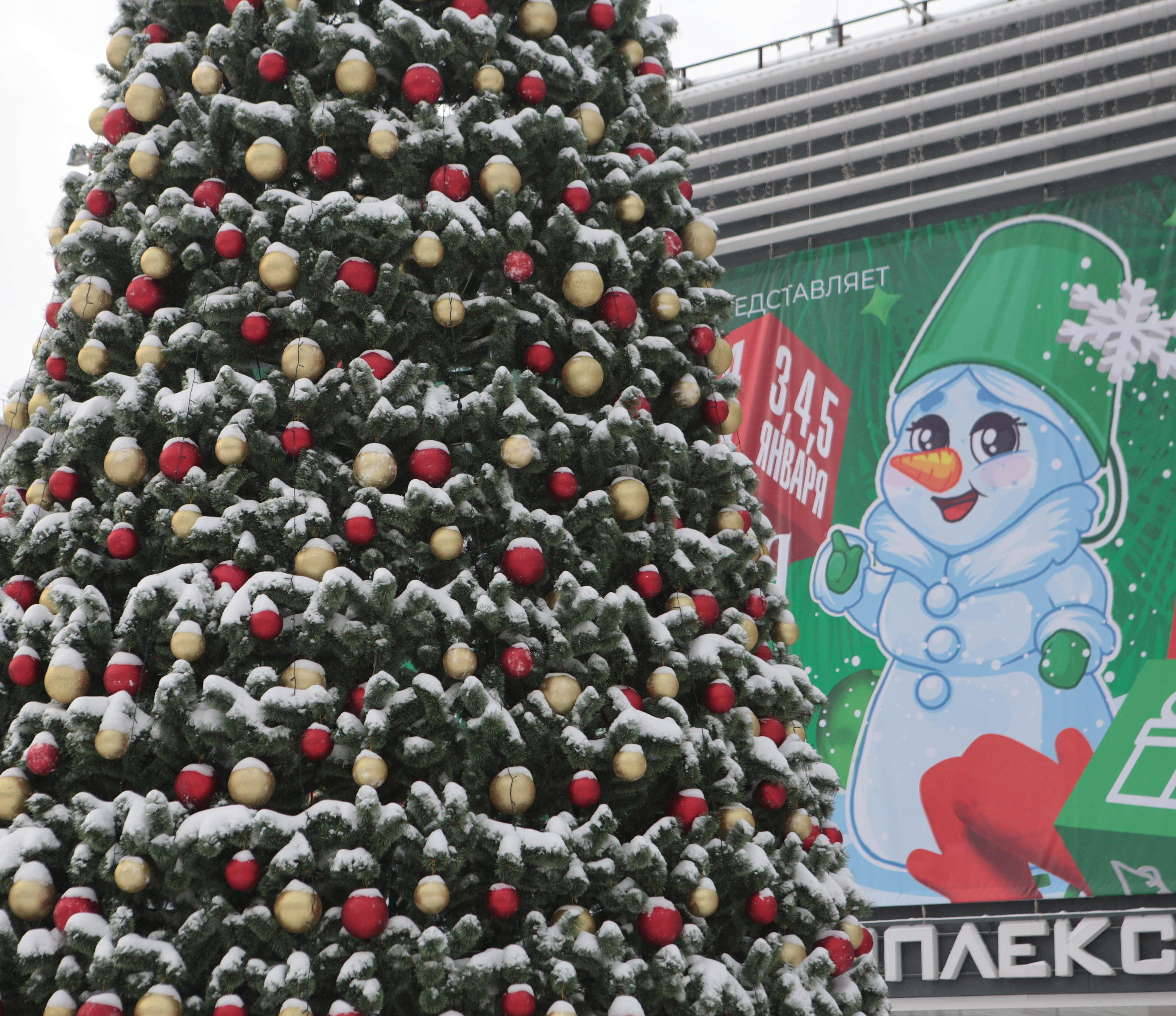 Новосибирская неделя: штраф за ёлки, затяжные стройки и новогодние огни