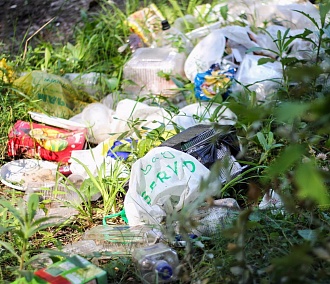 «Зато не воняет»: почему в Академгородке бросают мусор под окнами