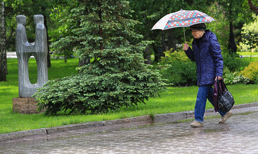 Каспийский циклон принесёт дожди в Новосибирск на этой неделе