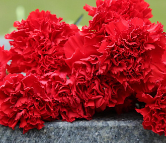 На 57-м году жизни умер экс-глава минстроя Новосибирской области Иван Шмидт