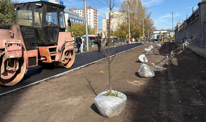 Мэр Кудрявцев: 80 молодых лип и елей высаживают на Бориса Богаткова