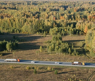Ради посадки миллиона деревьев авиакомпания S7 вернула название «Сибирь»