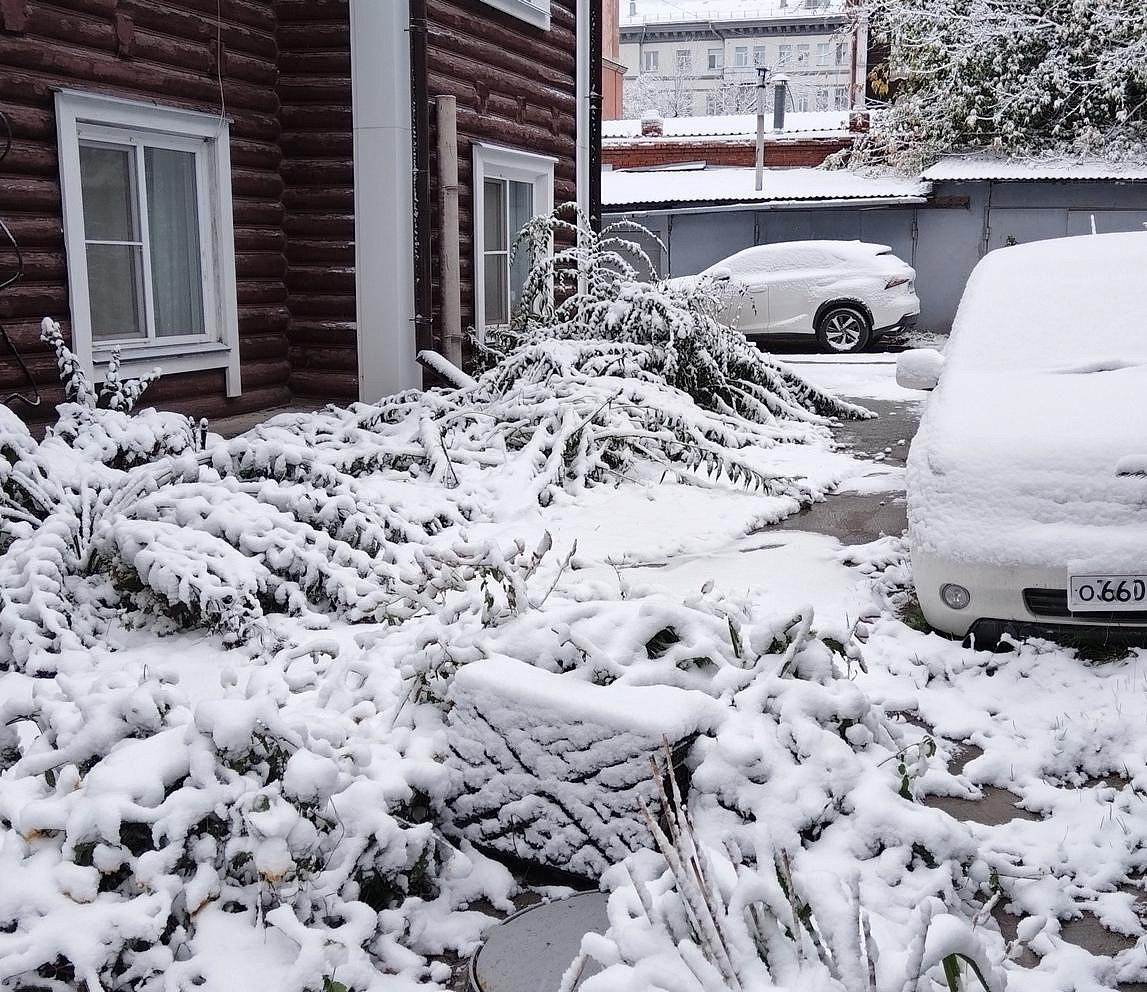 Первый снежный покров лёг в Новосибирске: 10 холодных фото