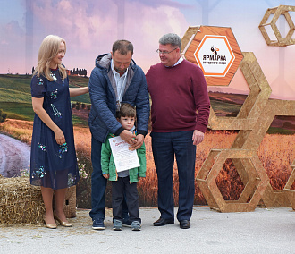 Пчёлы Новосибирской области принесли гран-при коченёвским пасечникам
