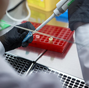 Учёные НГУ разработали программу для поиска мутаций по анализу ДНК