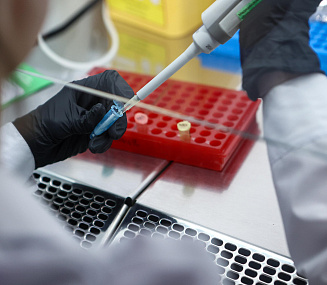 Учёные НГУ разработали программу для поиска мутаций по анализу ДНК