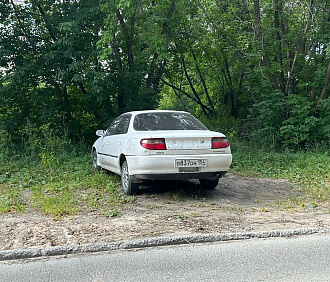 240 автохамов поймала на газонах Первомайки система «ПаркНет»