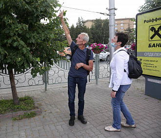 Сеть для общения между агрономами создадут в Новосибирске