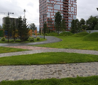 Будем жить, как в Европе: зелёные дворы побеждают парковки в Новосибирске