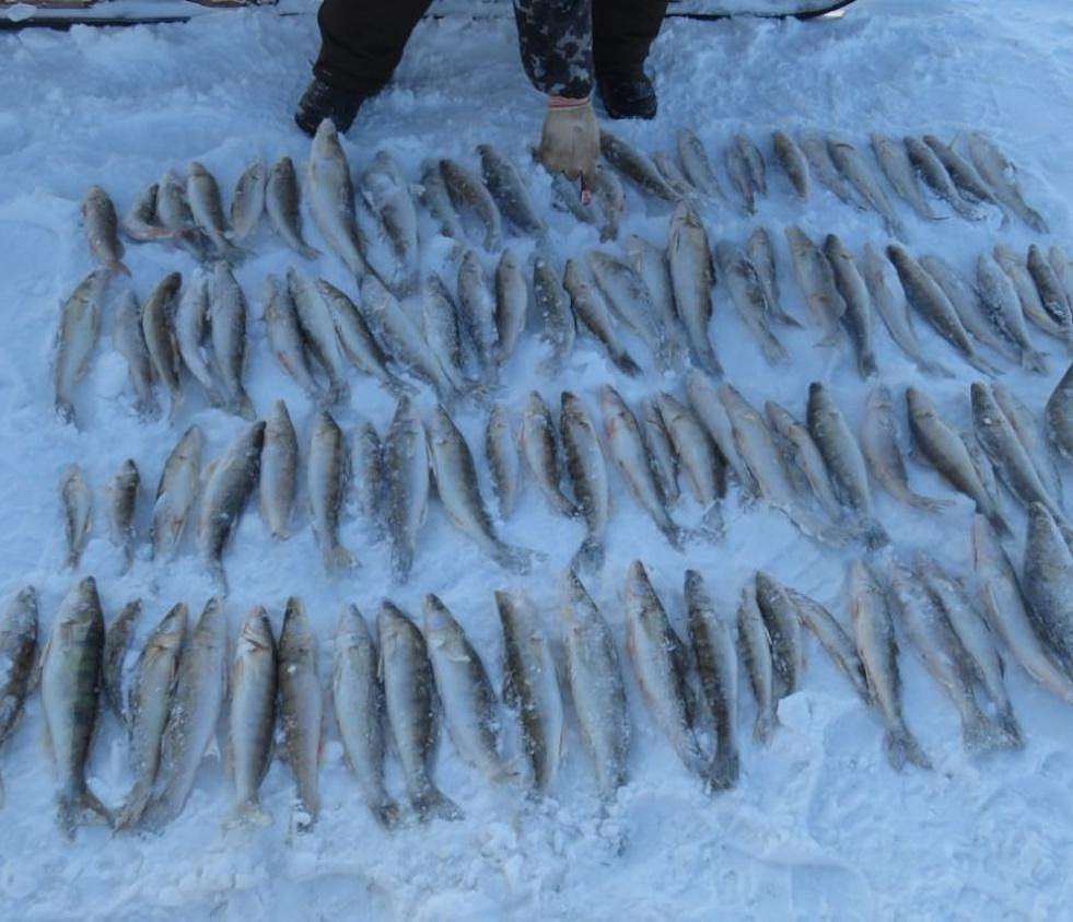 12 км браконьерских сетей изъяли на льду Обского моря