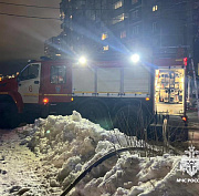 В Новосибирске за неделю потушили 27 пожаров, один из них устроила собака