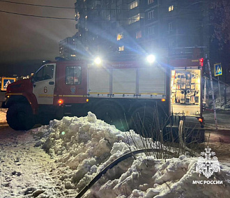 В Новосибирске за неделю потушили 27 пожаров, один из них устроила собака