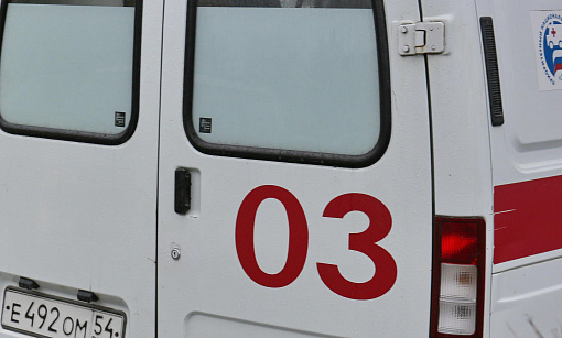 Двое детей выжили в автокатастрофе под Новосибирском (18+)